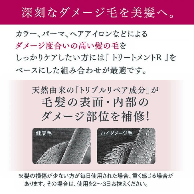 タマリス ラクレア オー ラディカルリペア トリートメント R 2000g (詰