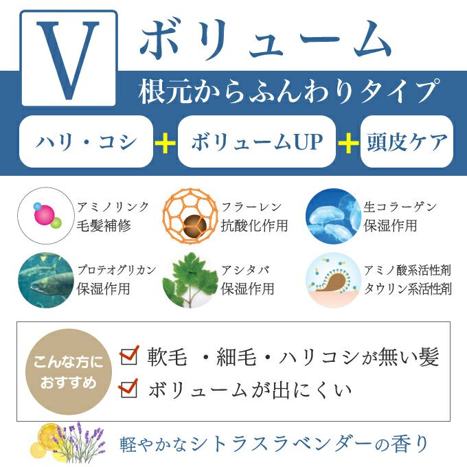セフティ SAN&MONI サンモニ スキャルプケアシャンプー V 240mL｜美容
