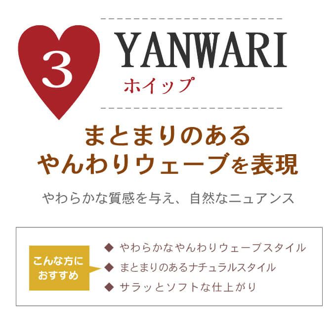 デミ ウェーボ ジュカーラ キャラメイクホイップ ≪3≫ 300g