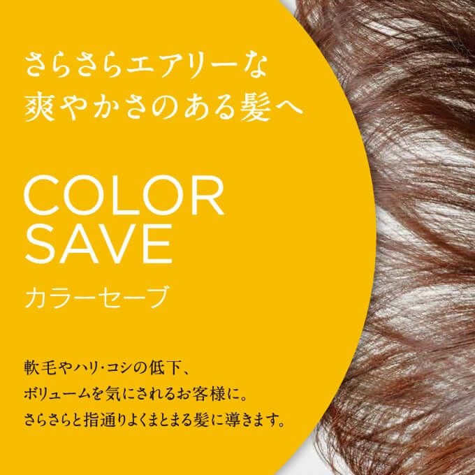 シュワルツコフ BCクア カラーセーブ トリートメントa 750g｜美容室
