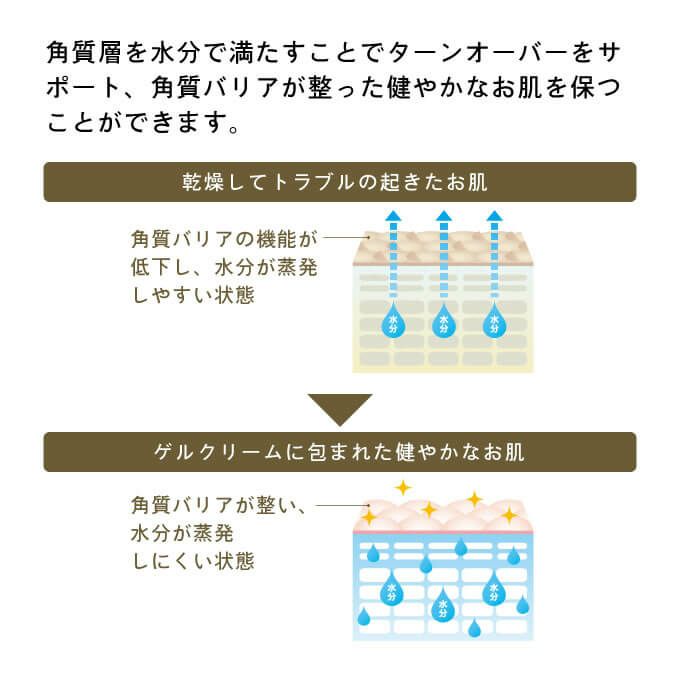 ノワール　エンパシー　マットクリーム yogab394.jpg