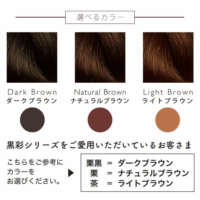 アモロス 黒彩ヘアファンデーション≪本体≫ 8g （一時着色料 頭皮頭髪