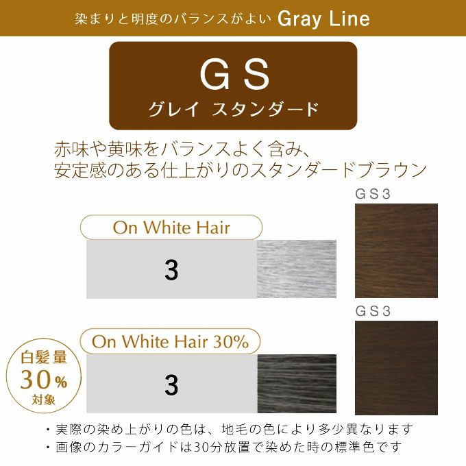 ホーユー プロステップ グレイカラー GS3 グレイスタンダード 80g 医薬