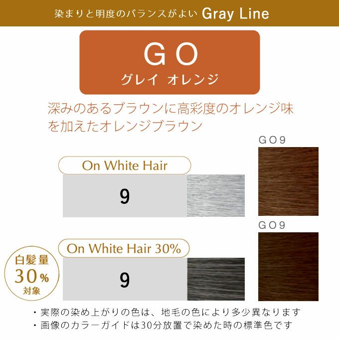 ホーユー プロステップ グレイカラー GO9 グレイオレンジ 80g 医薬部外