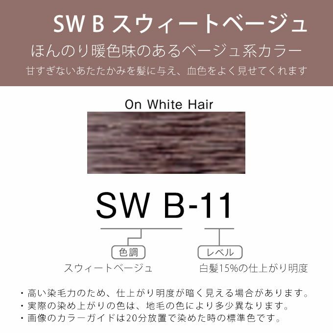 ホーユー プロマスター アプリエグロー SW B-11 スウィートベージュ 80g 医薬部外品｜美容室専売品のナカノザダイレクト本店