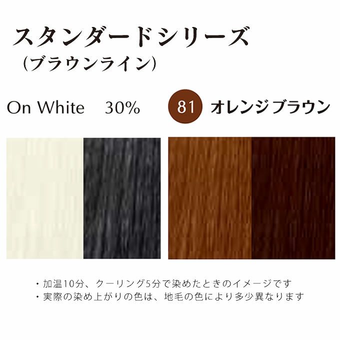 ホーユー グラマージュ ヘアマニキュア 150g 81 オレンジブラウン（ブラウンライン）｜美容室専売品のナカノザダイレクト本店