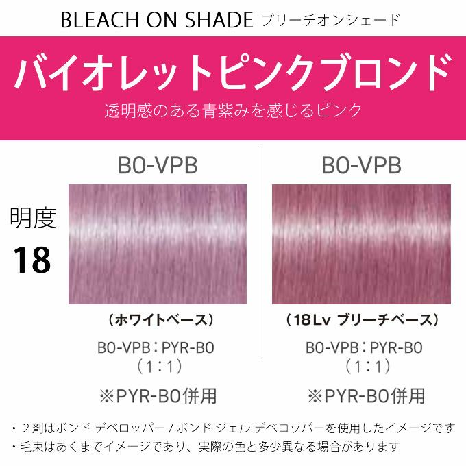 シュワルツコフ　カラー剤　ファイバープレックス　ボンドカラー FIBERPLEX シュワルツコフ ファイバープレックス ボンドカラー