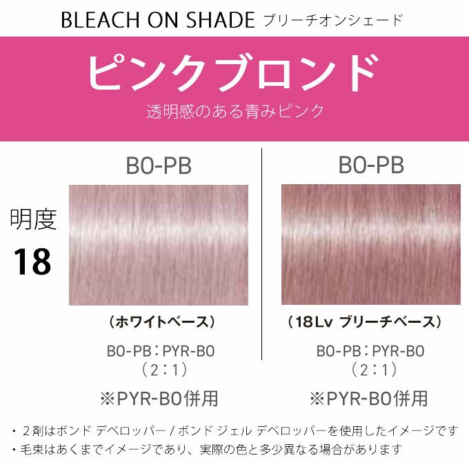 シュワルツコフ　カラー剤　ファイバープレックス　ボンドカラー 13-379-31648.jpg