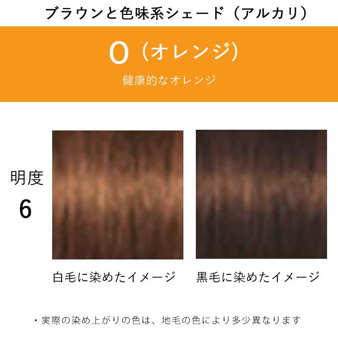 イゴラロイヤルピクサムF イゴラロイヤルピクサムFGoth-R fp 80g シュワルツコフの通販