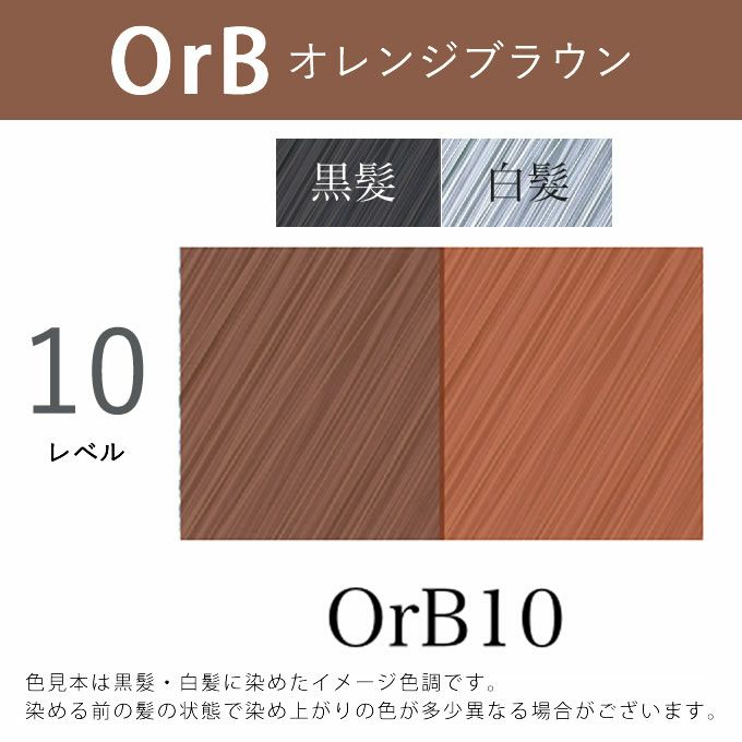 アペティート化粧品 プロクリスタル ノンジアミンカラー ヘルバ OrB10（オレンジブラウン） 100g （第1剤）  医薬部外品｜美容室専売品のナカノザダイレクト本店