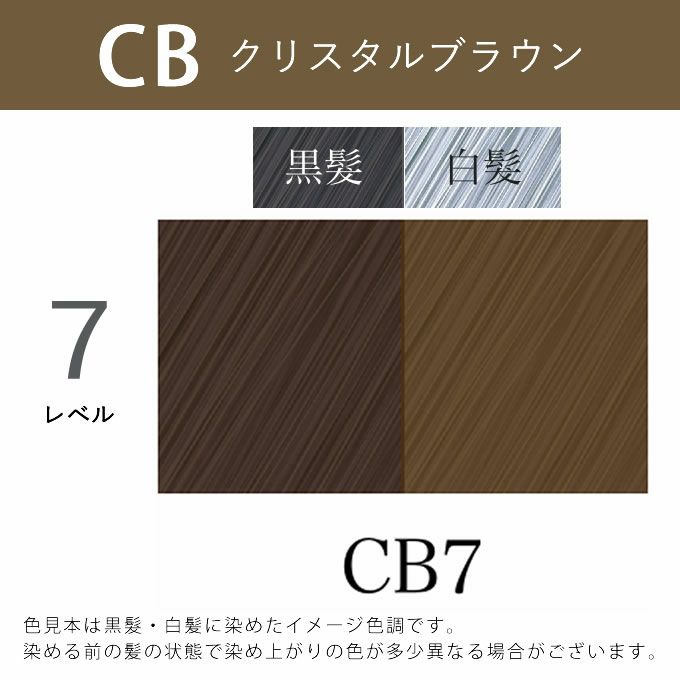 アペティート化粧品 プロクリスタル ノンジアミンカラー ヘルバ