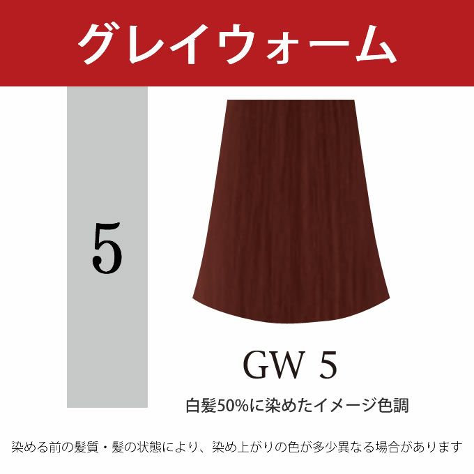 ナプラ アクセスフリーHB グレイシスカラー GW5 グレイウォーム 80g