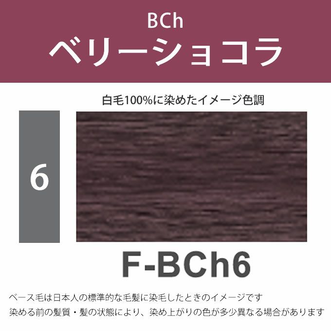 《前処理剤付き》美容室のファッションカラー　すぐに染めれる　ヘアカラーセット　S　ベリーチョコレート　F-BCh8